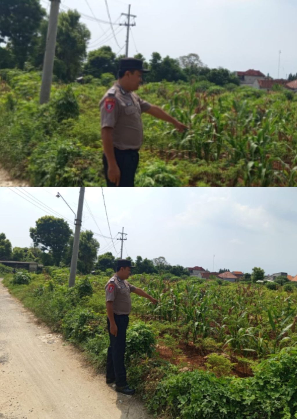 Polsek Brondong Gerakkan Patroli Polisi Penggerak Desa, Kawal Ketahanan Pangan Lewat Program P2B