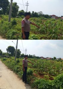 Polsek Brondong Gerakkan Patroli Polisi Penggerak Desa, Kawal Ketahanan Pangan Lewat Program P2B