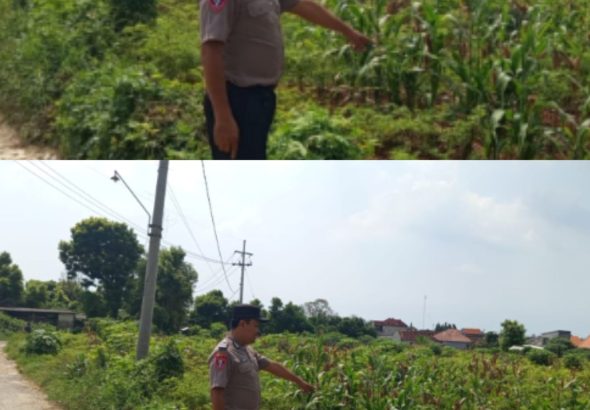 Polsek Brondong Gerakkan Patroli Polisi Penggerak Desa, Kawal Ketahanan Pangan Lewat Program P2B